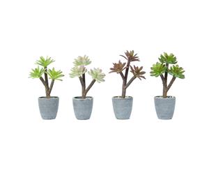 4 X Artificial Fake Succulent Plant In Pot Mini Potted Tree table top Home Dcor