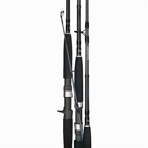 Daiwa Saltist Spinning Rod