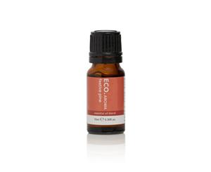 ECO. Festive Pine Essential Oil Blend 10ml