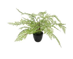 Faux Small Potted Fern 35cm