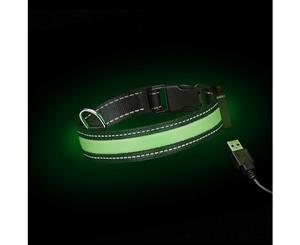 Loomo Moonshine LED Dog Collar Green