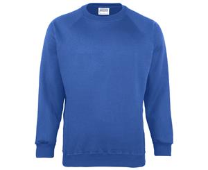 Maddins Kids Unisex Coloursure Crew Neck Sweatshirt / Schoolwear (Pack Of 2) (Ocean Royal) - RW6862