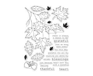 Memory Box - Clear Stamp Set - Grateful Autumn