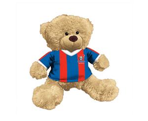 Newcastle Knights NRL Plush Teddy Bear Sublimated Team Jersey