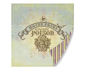 Pink Paislee - Hocus Pocus - Hocus Pocus 12X12 D/Sided Paper (Pack Of 10)