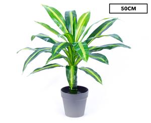 Plantasia 50cm Dracaena Artificial Pot Plant