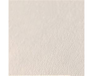 SAA Pastel Practice Paper - Cream Pack of 10 25x35cm