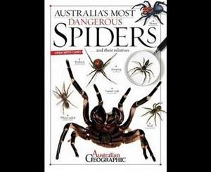 Australia's Most Dangerous Spiders