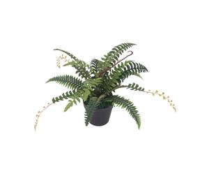 Cooper & Co Artificial Fern 50Cm