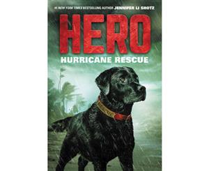 Hero Hurricane Rescue