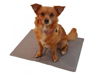 Large Pet Cool Pad for Dogs & Cats - Silver Colour - 90cm x 50cm