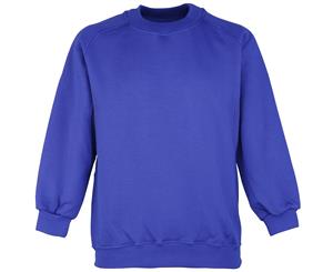 Maddins Childrens Unisex Coloursure Curved Raglan Plain Sweatshirt / Schoolwear (Royal) - RW851