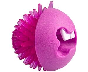 Rogz Fred Treat Ball - Pink - Medium (2.5 inch)