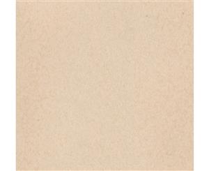 UART Premium Sanded Pastel Paper (9" x 12") - Grade 280 - Single Sheet