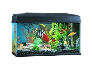 Blue Planet Classic Aquarium 50L