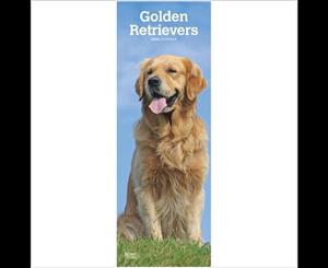 Golden Retrievers 2020 Slim Calendar