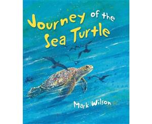 Journey of the Sea Turtle