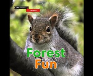 Let's Read  Forest Fun