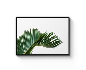 Minimal Green Plant Photograph Art - Black Frame