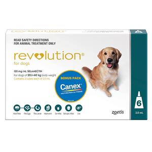 Revolution for Dogs Teal 20.1 - 40 kg 6 pack