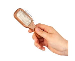 Show Tech Mini Wooden Pin Brush 12cm Rectangular Walnut