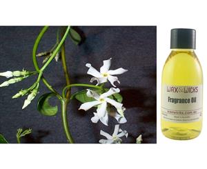 Star Jasmine & Patchouli - Fragrance Oil