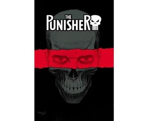 The Punisher Vol. 1  On the Road