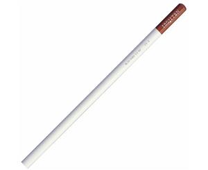 Tombow Irojiten Single Pencil D-03-Autumn Leaf