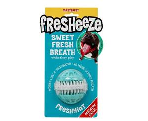 Yours Droolly Fresheeze Dental Ball Rotate Medium