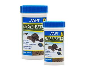 Api Algae Eater Wafer 37G