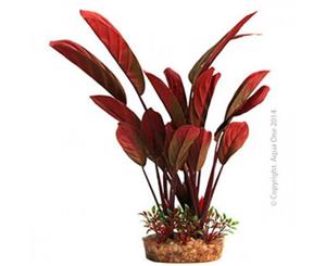 Aqua One Silk Plant - Purple Echinodorus - Large