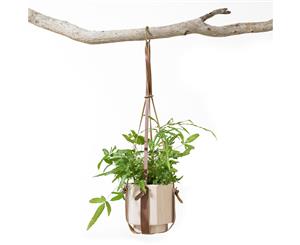 Brown Modern Leather Plant Hanger Pot Plant Holder for Fern Cactus and Succulents