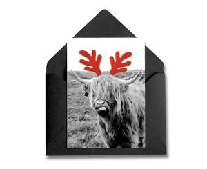 Christmas Card  Hairy Cow