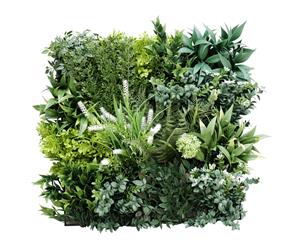 Garden of Eden Bespoke Vertical Garden / Green Wall UV Resistant 1m x 1m