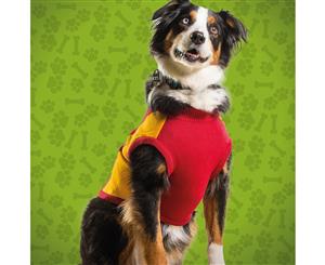 Gold Coast Suns Small Dog Jumper