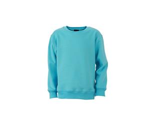 James And Nicholson Childrens/Kids Round Heavy Sweatshirt (Pacific Blue) - FU481