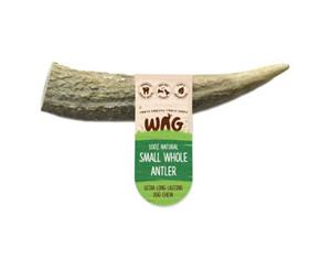 Watch and Grow - Whole Deer Antler - Naturally Shed - Long Lasting Dog Treat