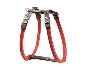 Hunter Calgary Elk Rolled Leather Dog Harness - Chili/Brown