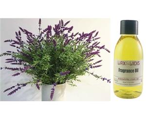 Indigo Lavender - Fragrance Oil