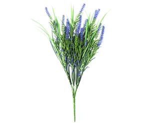 Long Stem Purple Lavender Plant 50cm UV Resistant