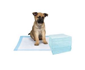 Yours Droolly Dog Training Pads