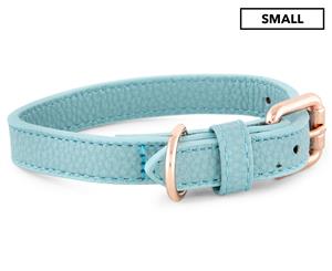 Dudley's World Of Pets Small Dog Collar - Teal