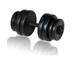 Dumbbell Set 15kg Gym Home Barbell Exercise Plate Weight Equipment