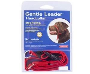 Gentle Leader Headcollar Red