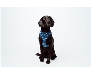 Mog & Bone Neoprene Dog Harness Dog Print Small Blue (DAM2058)