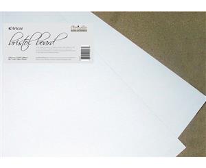 Pack of 10 Sheets Bristol Board 250gsm 450mm x 640mm