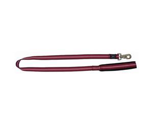 Red Ribbon 25mm x 121cm Padded Memory Foam Dog Lead Leash ZeeZ