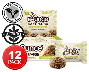 12 x Bounce Plant Protein Energy Ball Spirulina Ginseng 40g