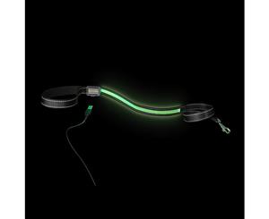 Loomo Moonshine LED Dog Lead Green