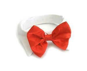 Red Satin Bow Tie Collar